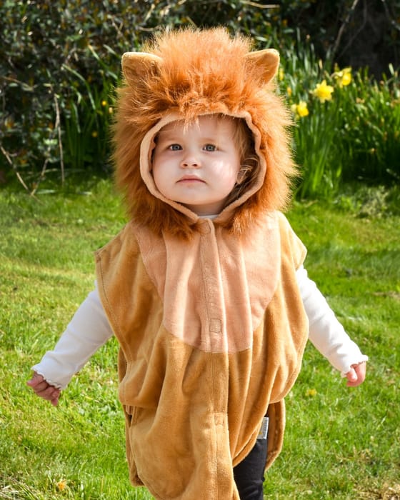 Lion Costume, size 1-4 years