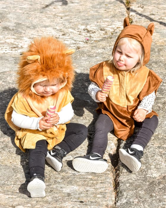 Lion Costume, size 1-4 years