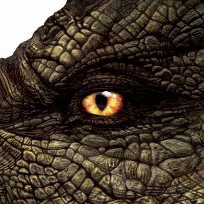 Dinosaur Picture Viewer