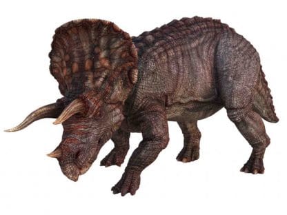 Dinosaur Picture Viewer