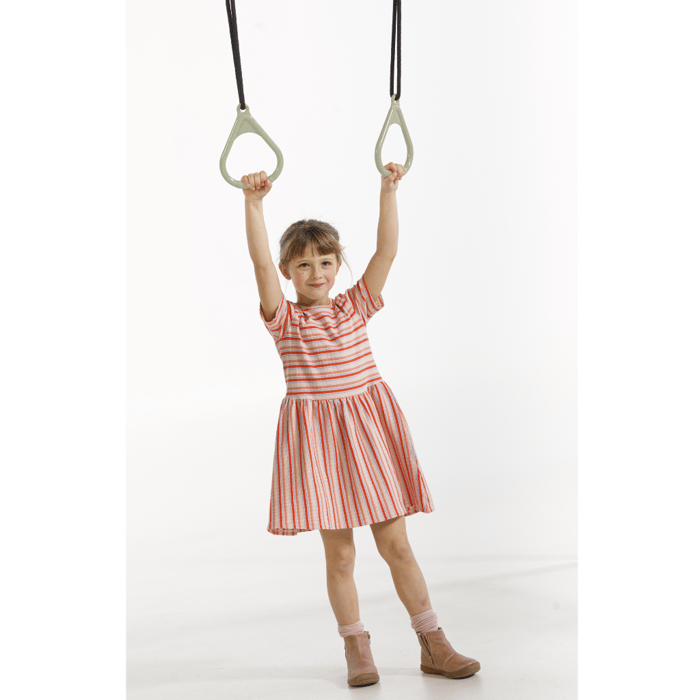 Plastic Gym Rings - Sage Green (Black Rope)