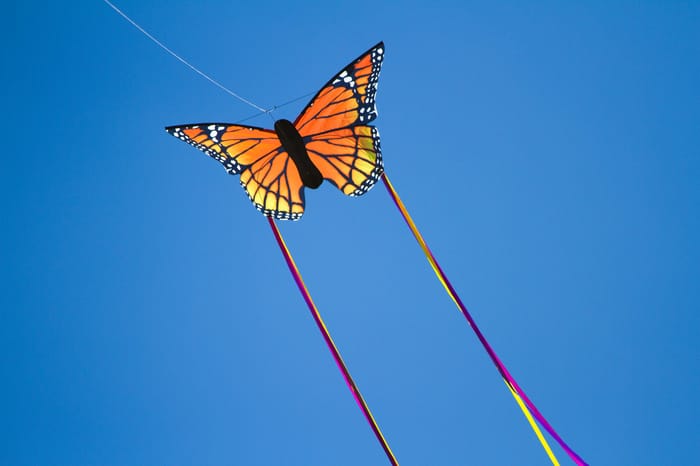 Kite - Butterfly