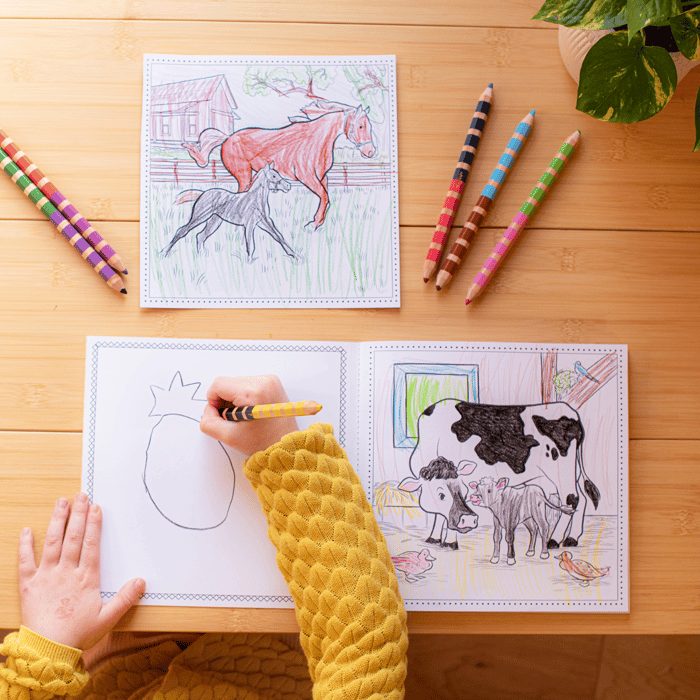 Colouring Book - Farm