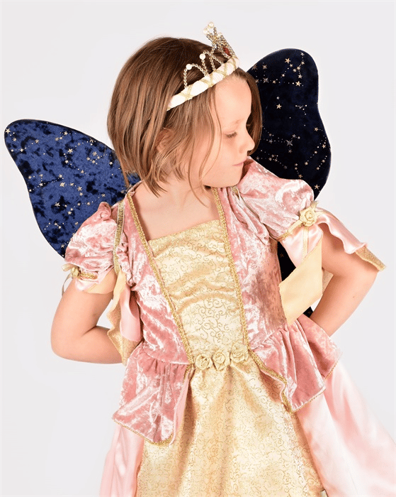 Set of Velour Wings with Stars