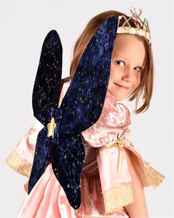 Set of Velour Wings with Stars