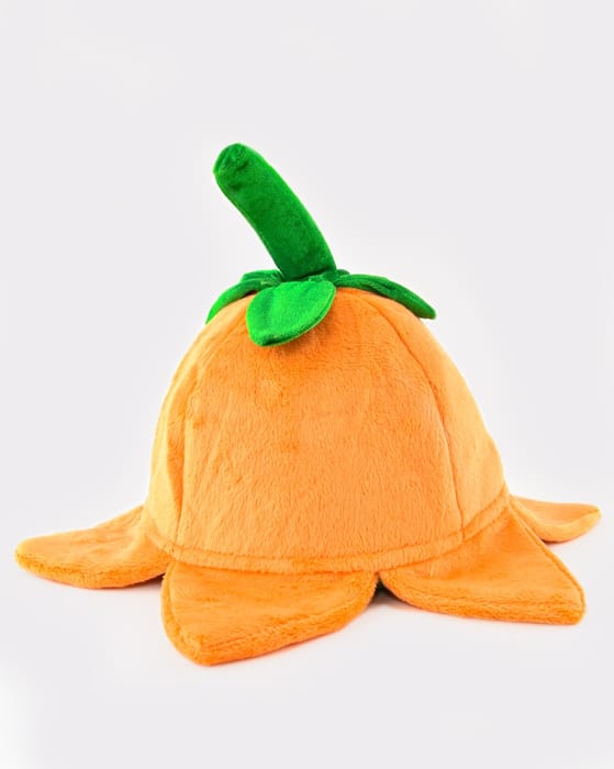 Pumpkin Costume, Size 2-4 Years