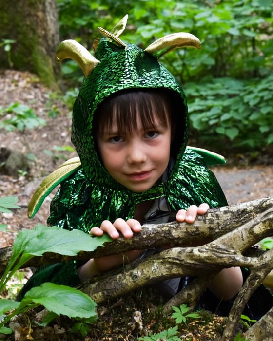 Dragon Cape - Green/Gold, Size 3-8 Years
