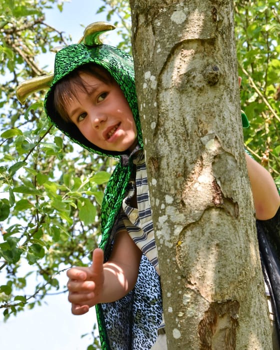 Dragon Cape - Green/Gold, Size 3-8 Years