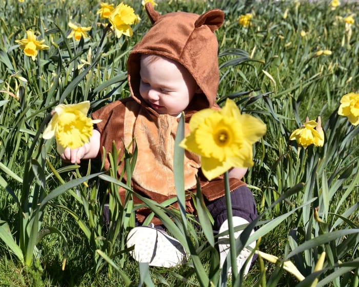 Bear Costume, size 1-4 years