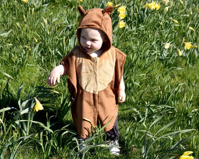 Bear Costume, size 1-4 years