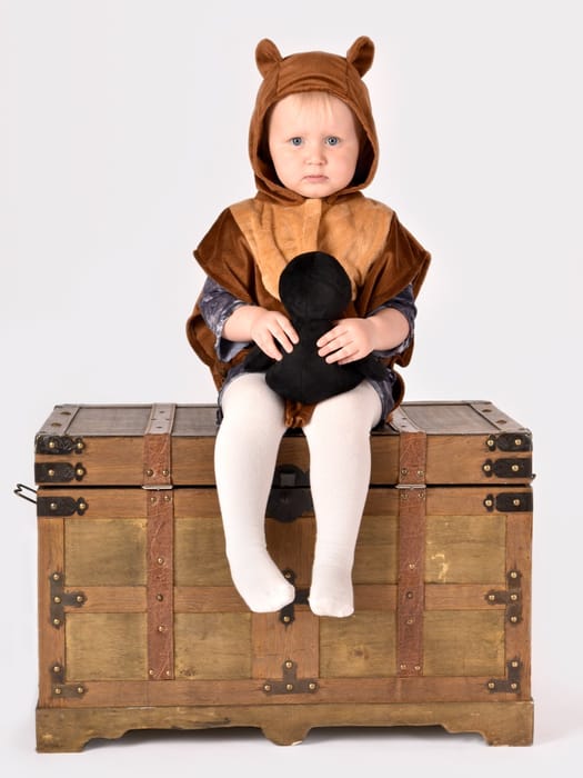 Bear Costume, size 1-4 years