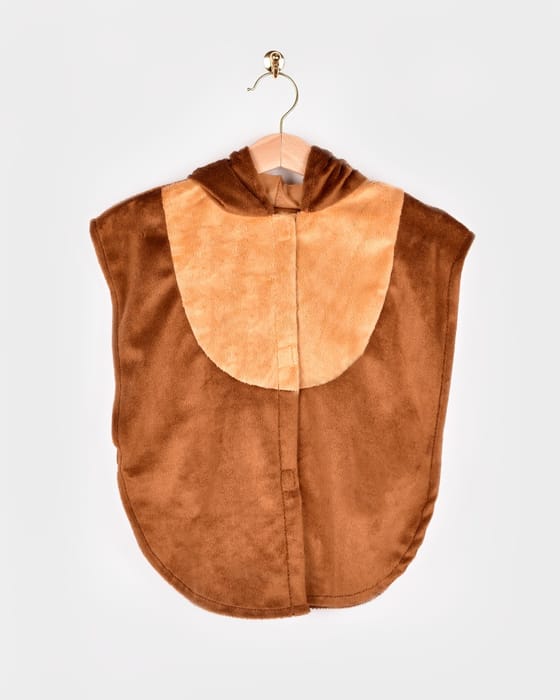 Bear Costume, size 1-4 years