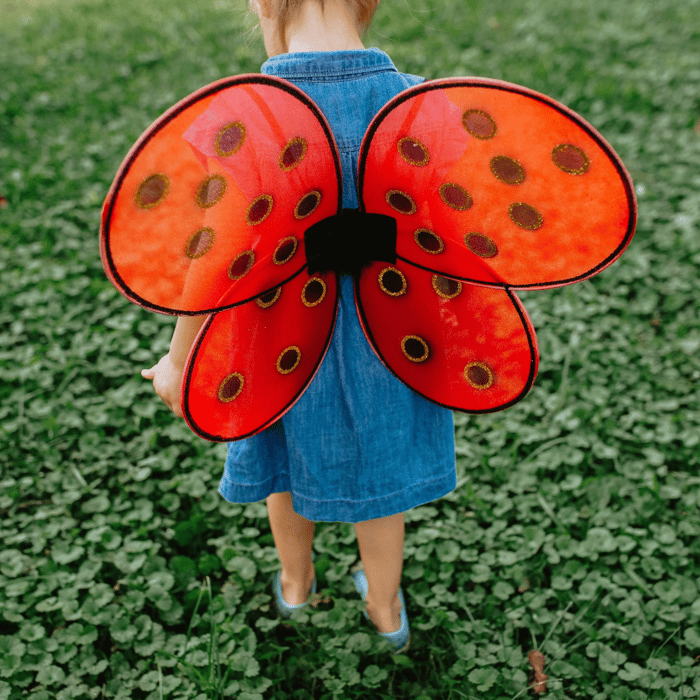 Ladybug Costume - Wings & Headband, Size 3-7 yrs
