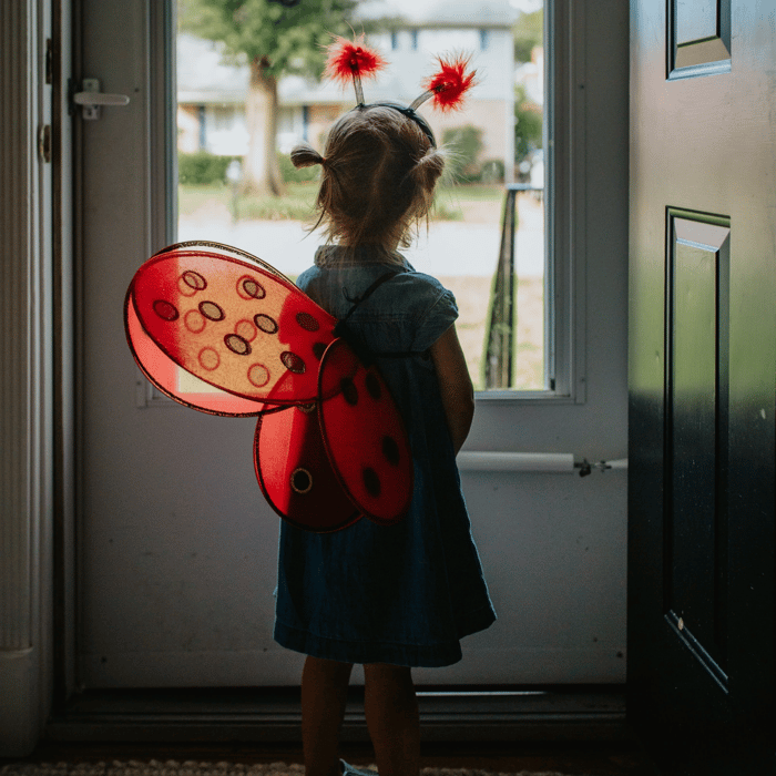 Ladybug Costume - Wings & Headband, Size 3-7 yrs