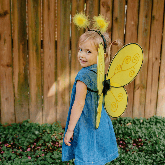 Bumblebee Costume - Wings & Headband, Size 3-7 yrs