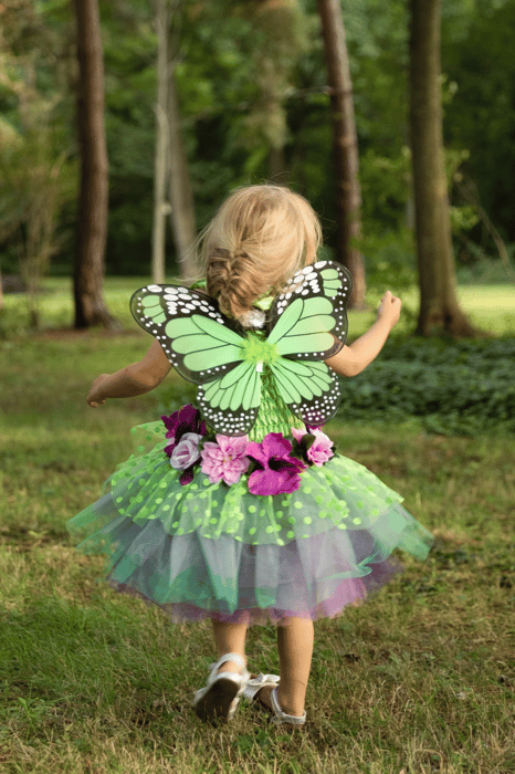 Forest Fairy Dress with Wings, 2-4 yrs