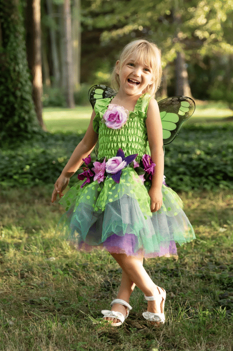 Forest Fairy Dress with Wings, 2-4 yrs
