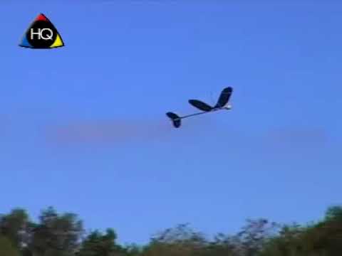 Glider Plane 40 cm