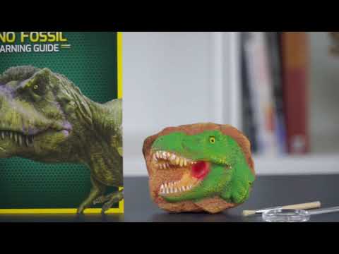 Dino Fossil Dig Kit
