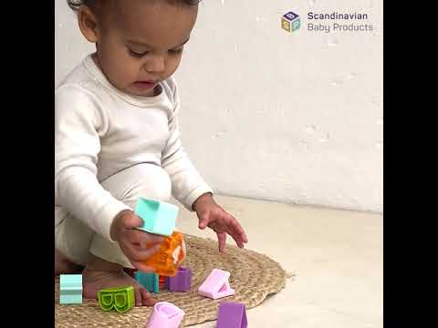 Shape Sorter with 16 Blocks