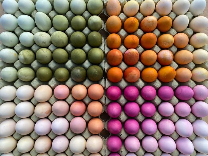 Natural Egg Dye, 5 Colours