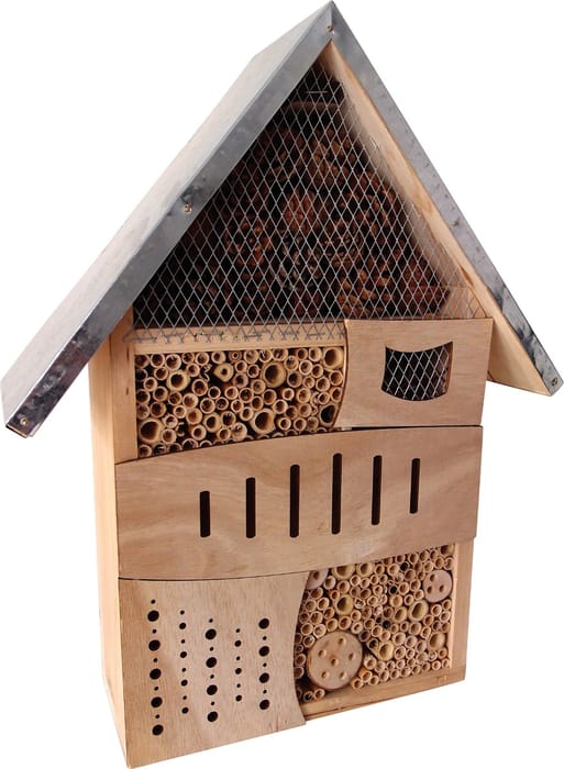 Wooden Bug House - Large
