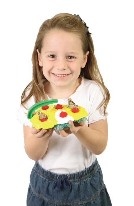 Butterfly Feeder