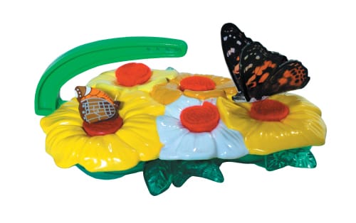 Butterfly Feeder