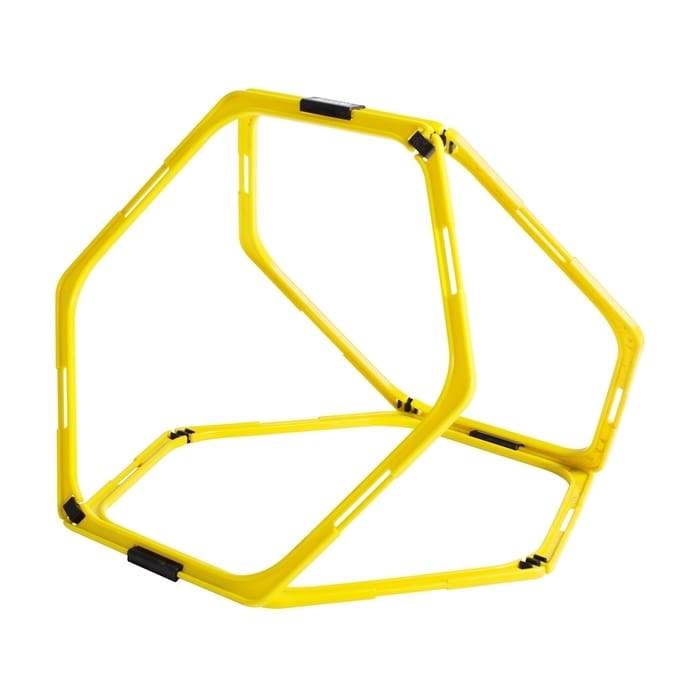 Multipurpose Agility/Obstacle Course