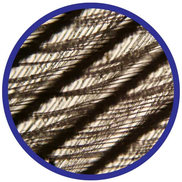 Microscope 100-450x incl. Prepared Slides