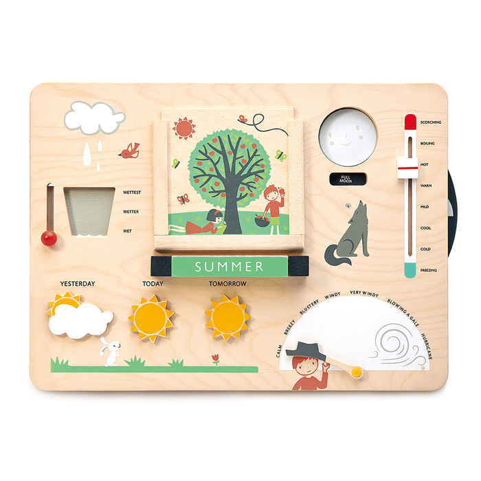 Weather Watch Weather Station