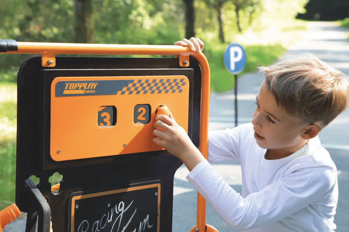 Portable Gas Pump