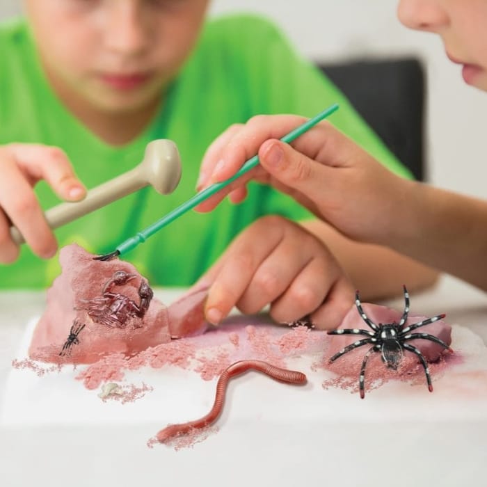 Creepy Crawly Digging Kit