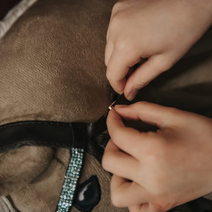 Cheval Roi Accs. - Bridle, Brown/Green Rhinestones