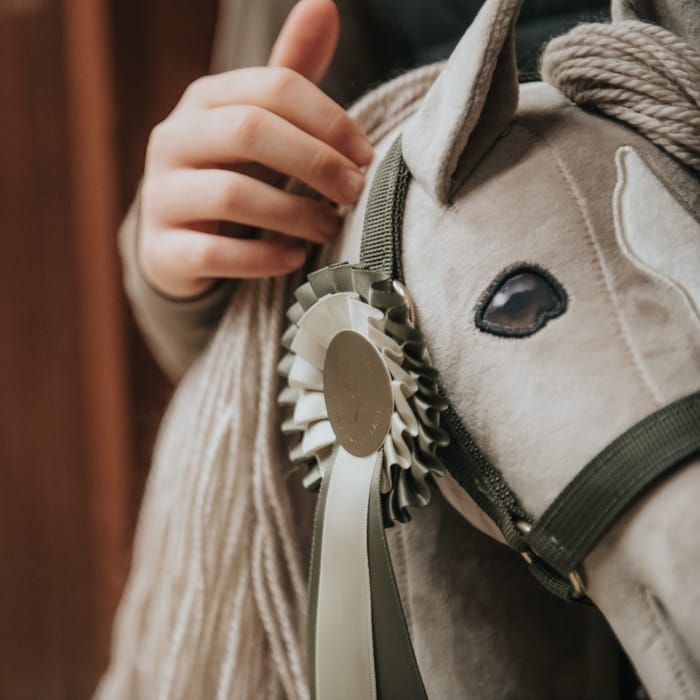 Cheval Roi Accs. - Rosette, Sage Green
