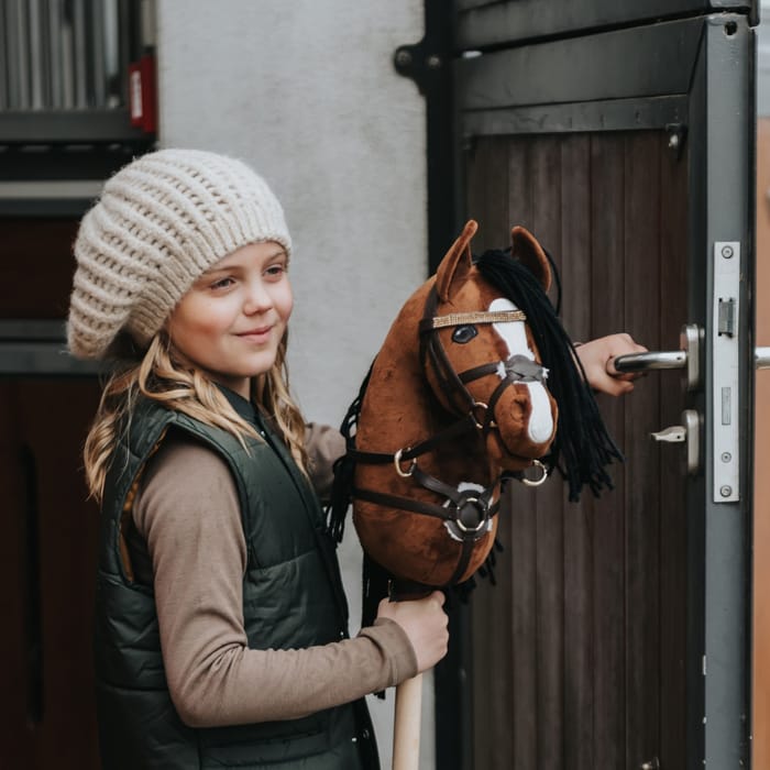 Cheval Roi Accs. - Bit, Silver