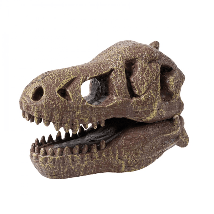 Fossil Dig Kit - T-Rex
