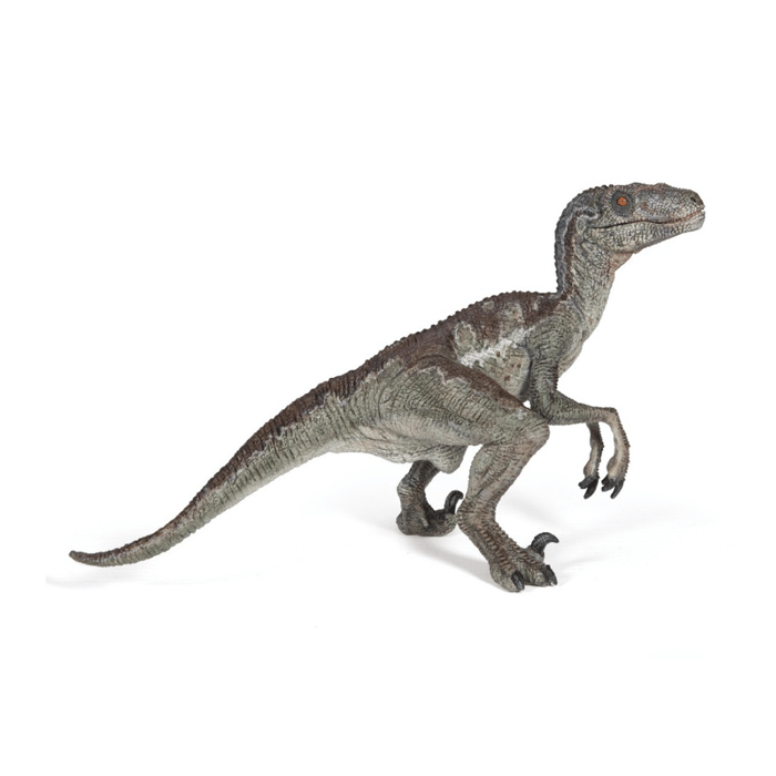 Velociraptor - L: 9.8 cm