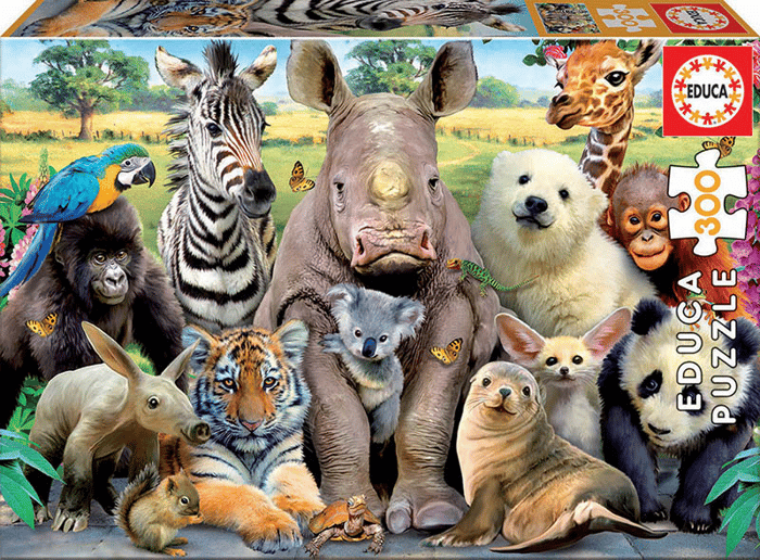 Puzzle - Class Photo of the Year, 300 pcs