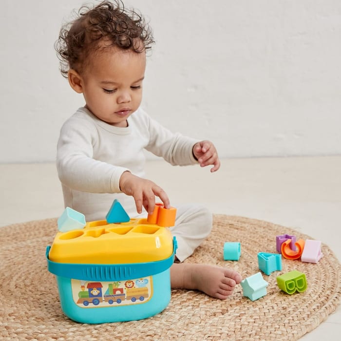 Shape Sorter with 16 Blocks