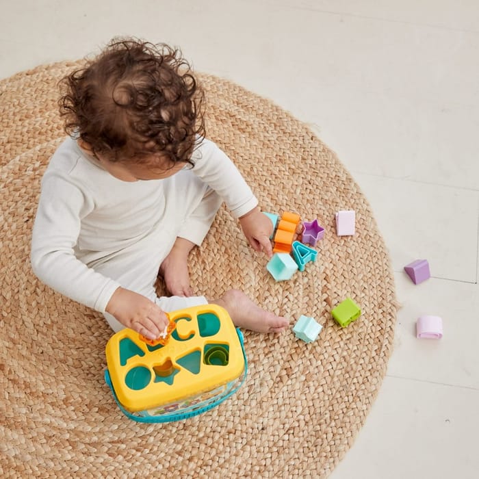 Shape Sorter with 16 Blocks