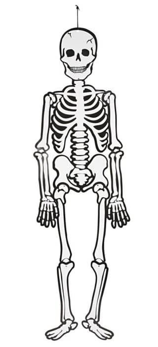 Glow-in-the-Dark Paper Skeleton, 120 cm