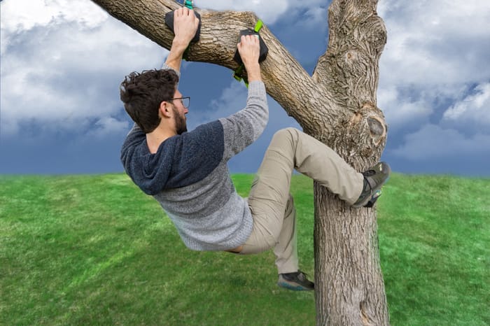Slackers Tree Climbing Holds