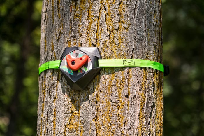 Slackers Tree Climbing Holds