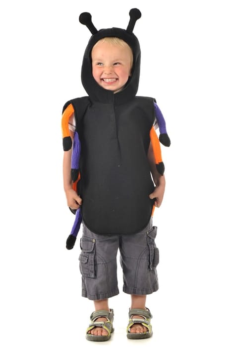 Spider Costume, Size 3-7 yrs