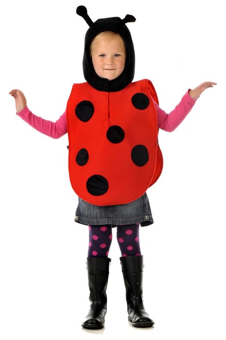 Ladybug Costume, Size 3-7 yrs