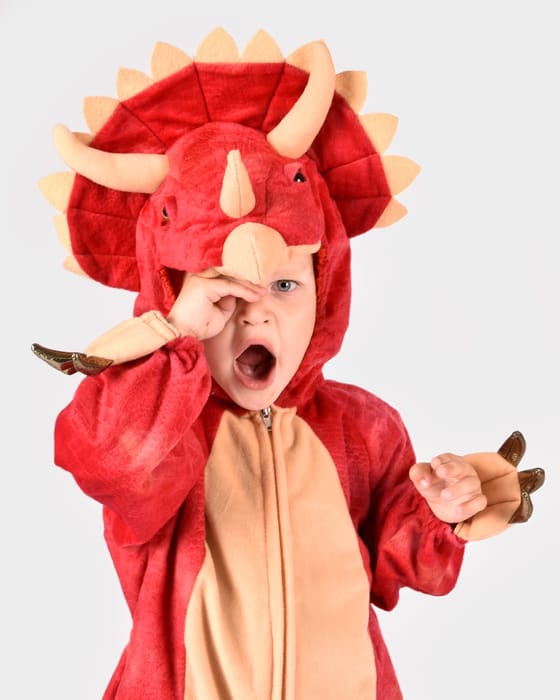 Triceratops Costume, Size 3-4 Years
