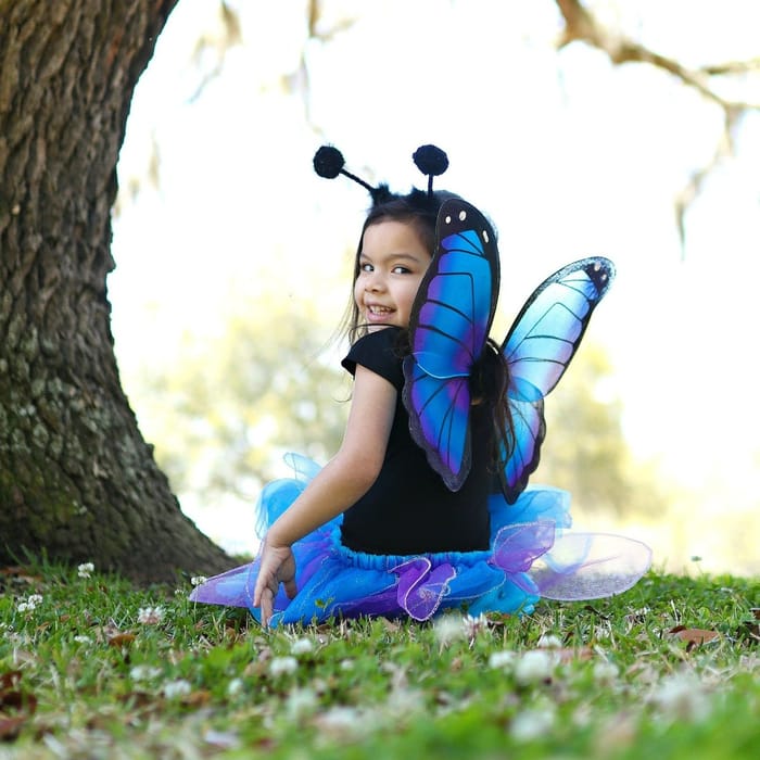 Skirt & Wings - Blue, 4-6 yrs