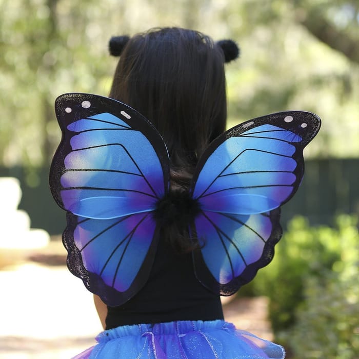 Skirt & Wings - Blue, 4-6 yrs