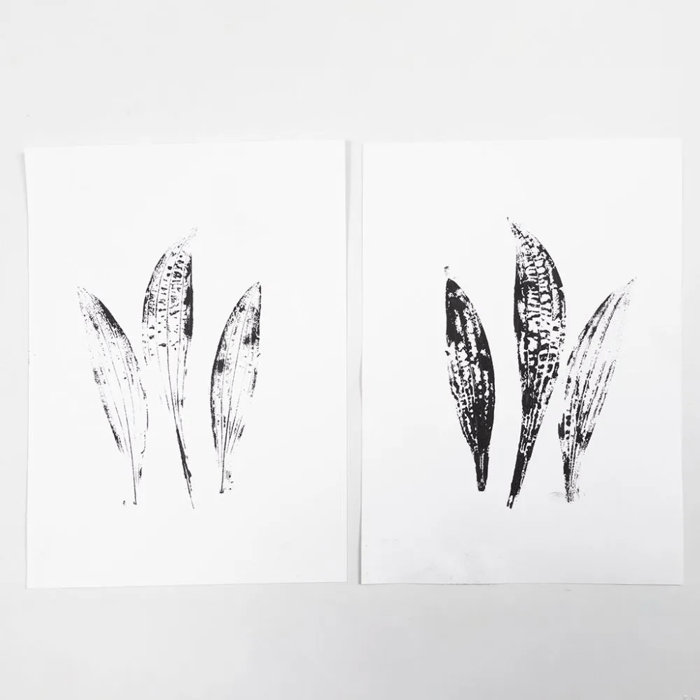 Linoprint Tool Kit